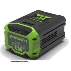 vendita online Batteria da 60v 5ah Ricambi per macchine da giardino e accessori Greenworks